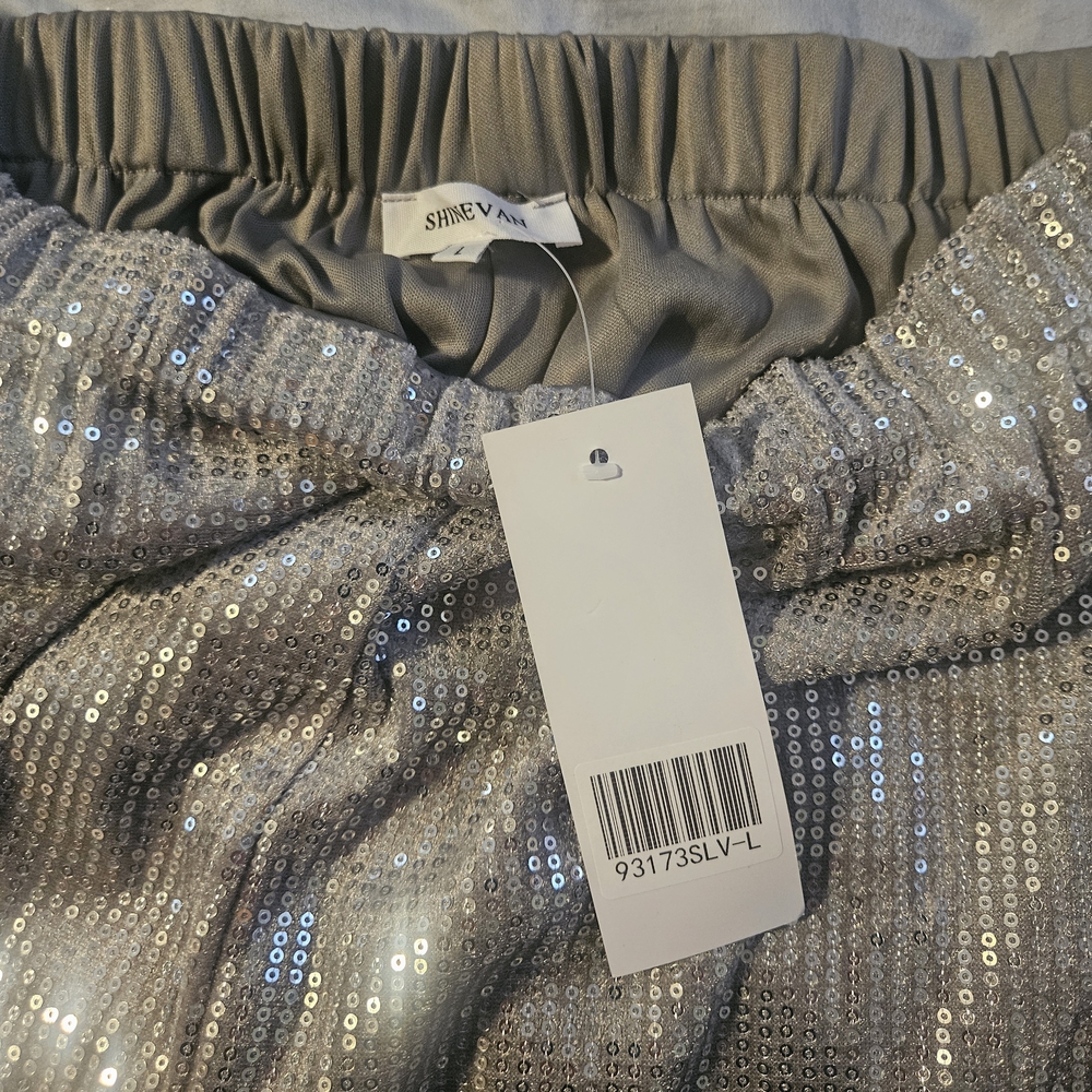 Silver Sequin Flare Pants - Picture 2 of 6